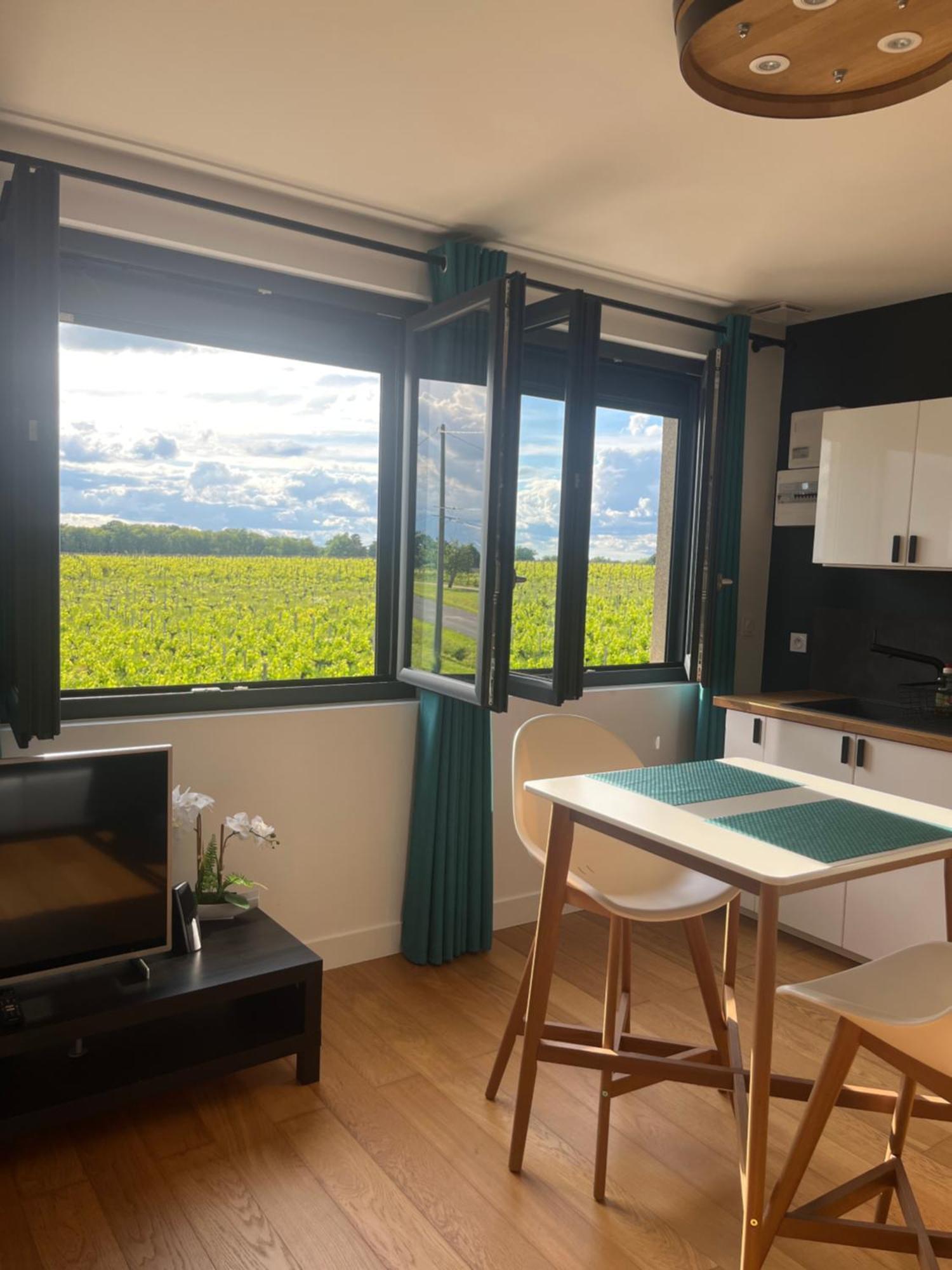 Appartement 2 Chateau La Rose Des Vents Puisseguin Eksteriør billede